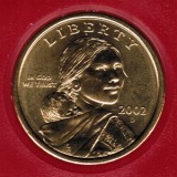 2002 D Sacagawea Uncirculated Dollar CP2120