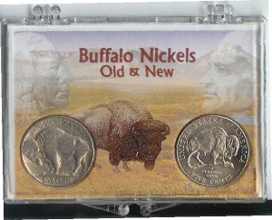 Old and New Buffalo Nickel in nice Holder